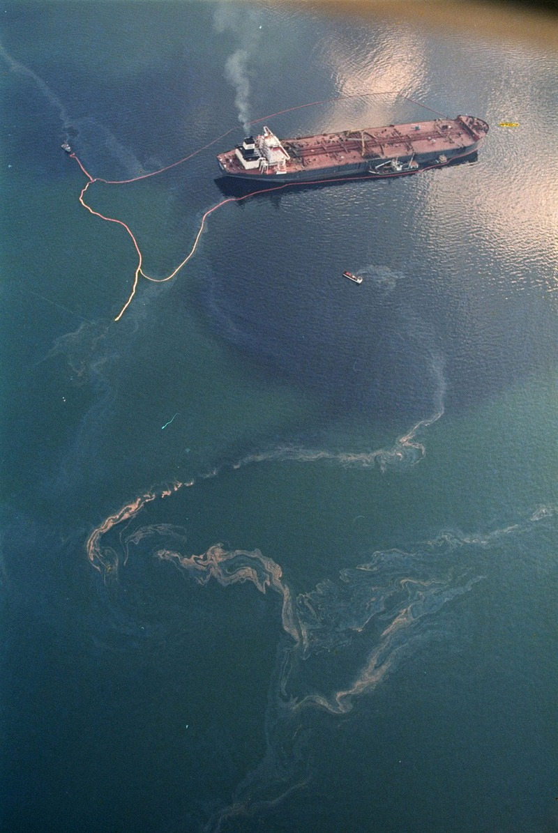 Illustration for article titled 10 Haunting Photos From the Exxon Valdez Oil Spill Catastrophe
